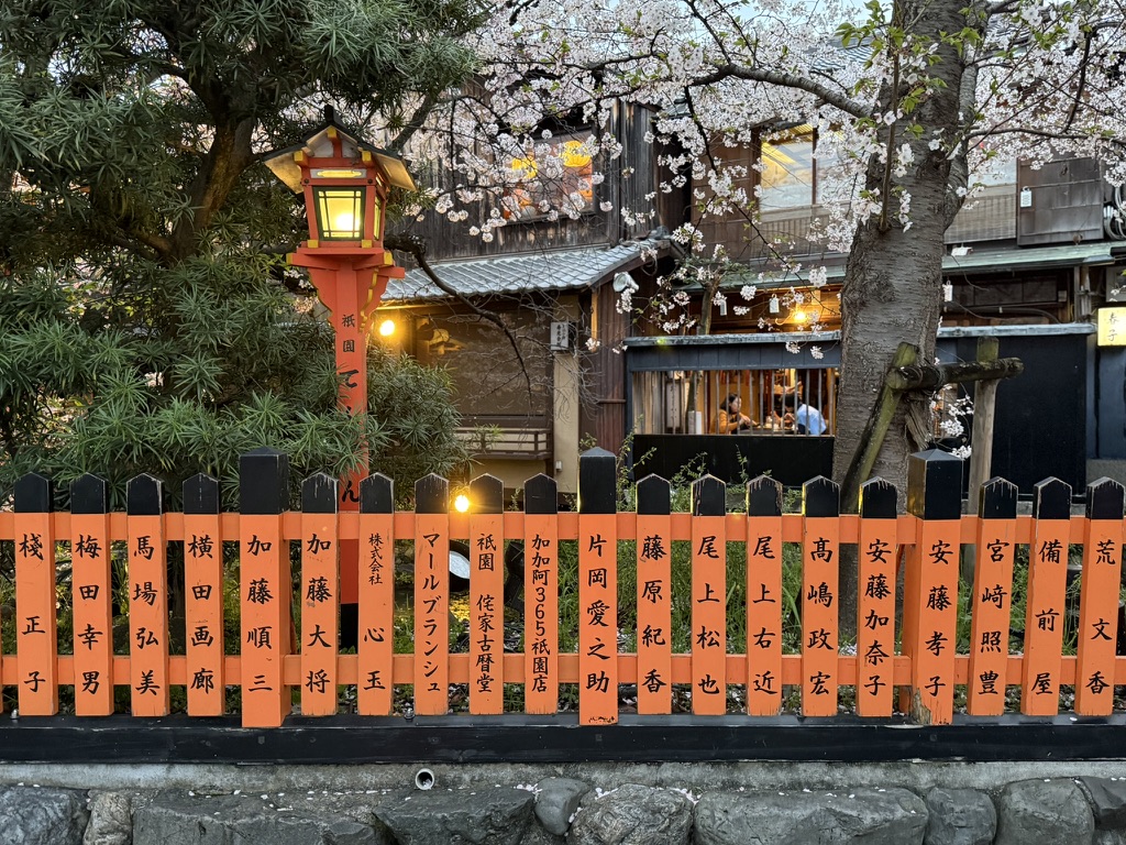A glowing red lantern and vermilion fence beneath cherry blossoms