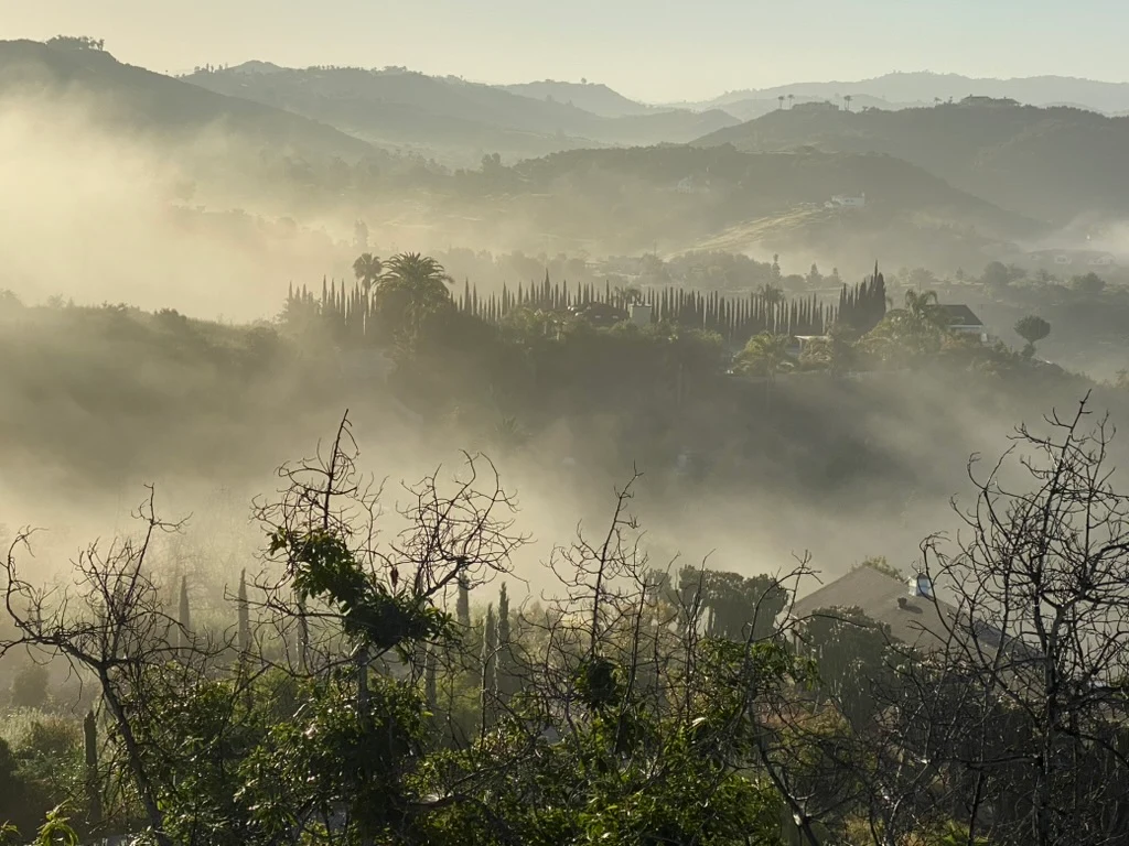 Morning mist across wooded hills