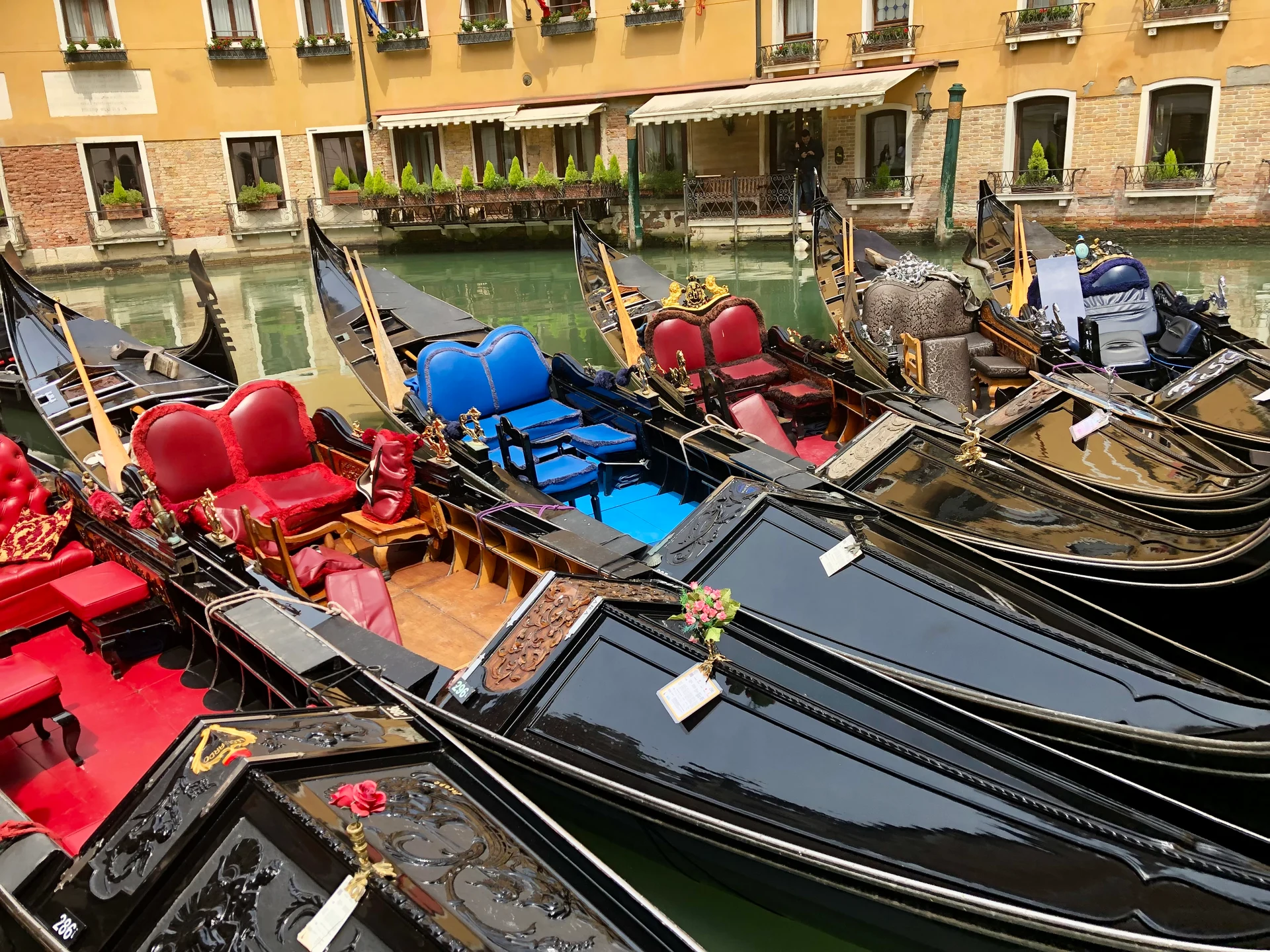 A row of colorful gondolas in Venice