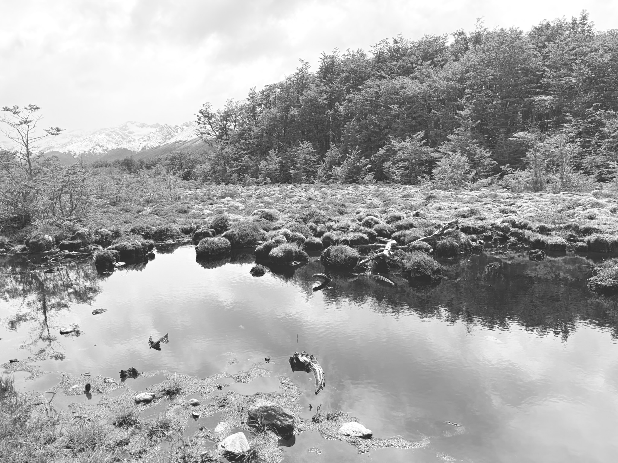 Woodland and mountains reflected in still water in black and white