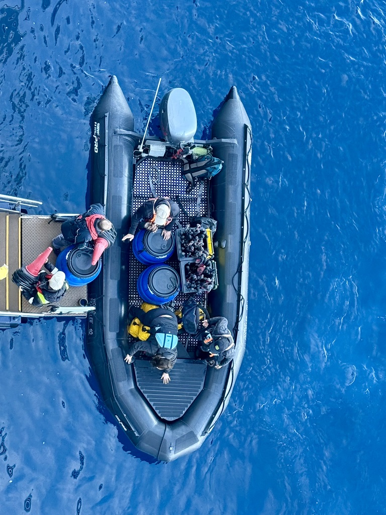 An expedition Zodiac alongside a ship in vivid blue water, viewed from above