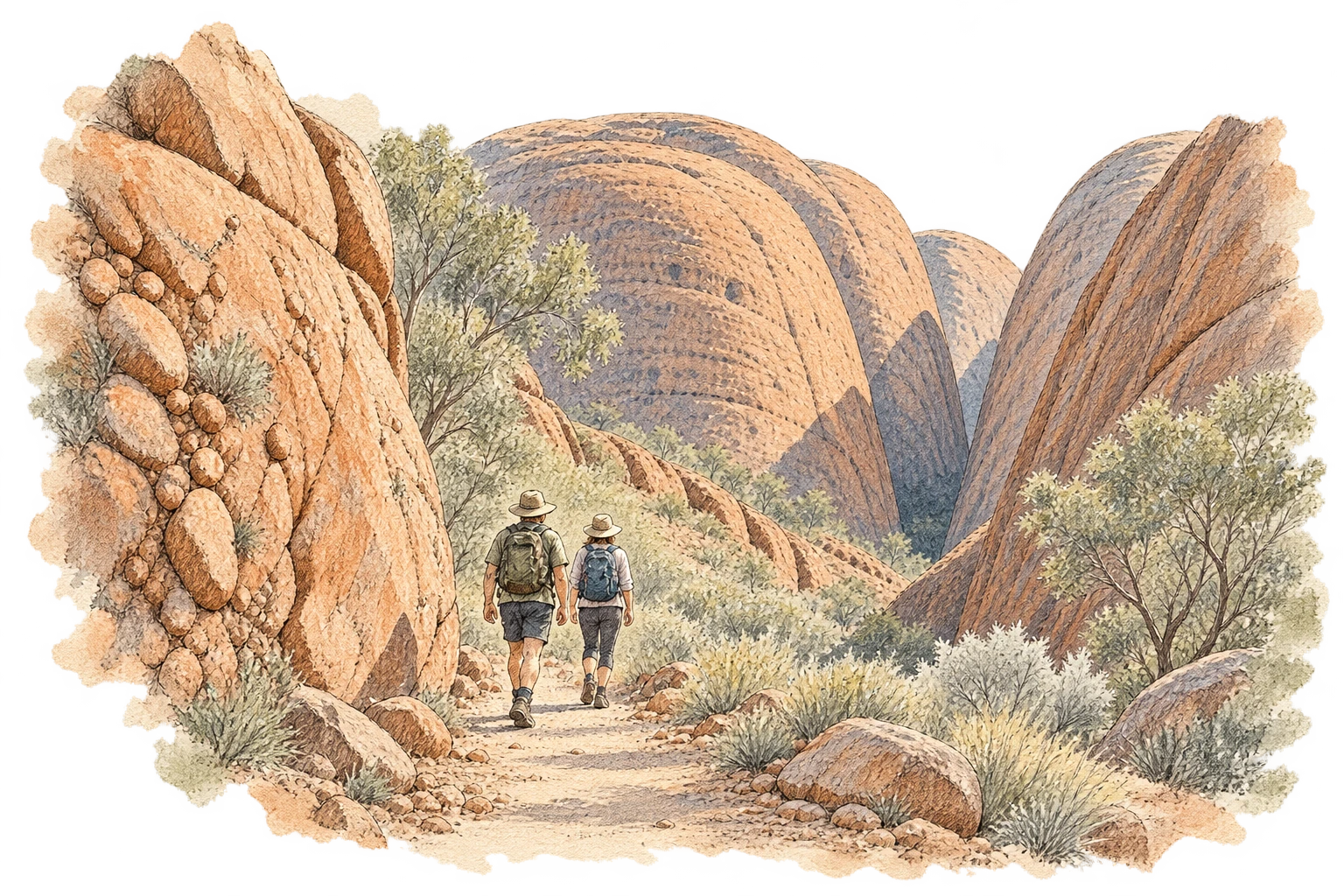 A guided walk among the extraordinary Kata Tjuta formations.